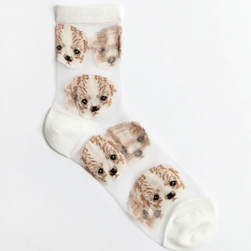 HN 퍼피 시스루 양말(HN Puppy see-through Socks)